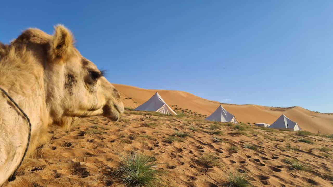 Desert Moments Glamping - Full Privacy Badīyah Екстериор снимка